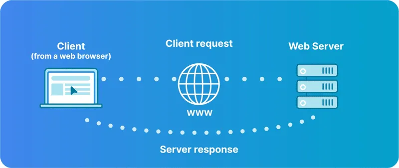 وظیفه کلاینت در شبکه چیست